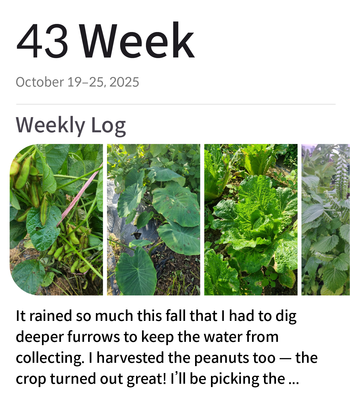 DirtCarrot App Object