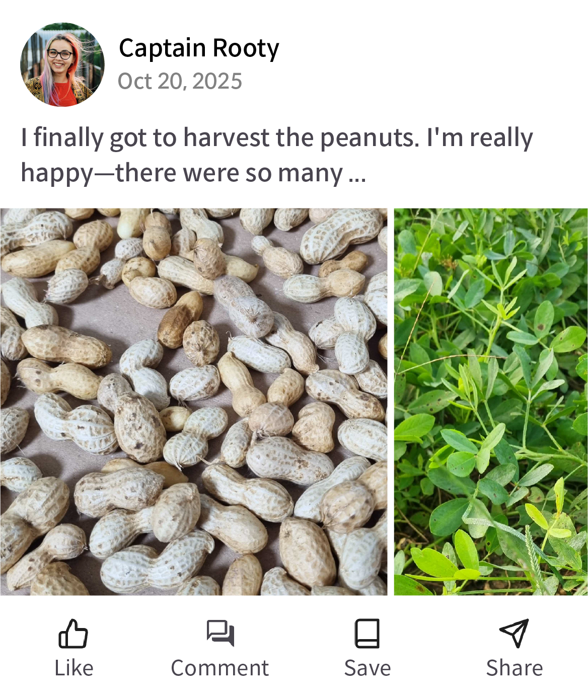 DirtCarrot App Object